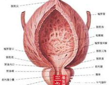 膀胱炎